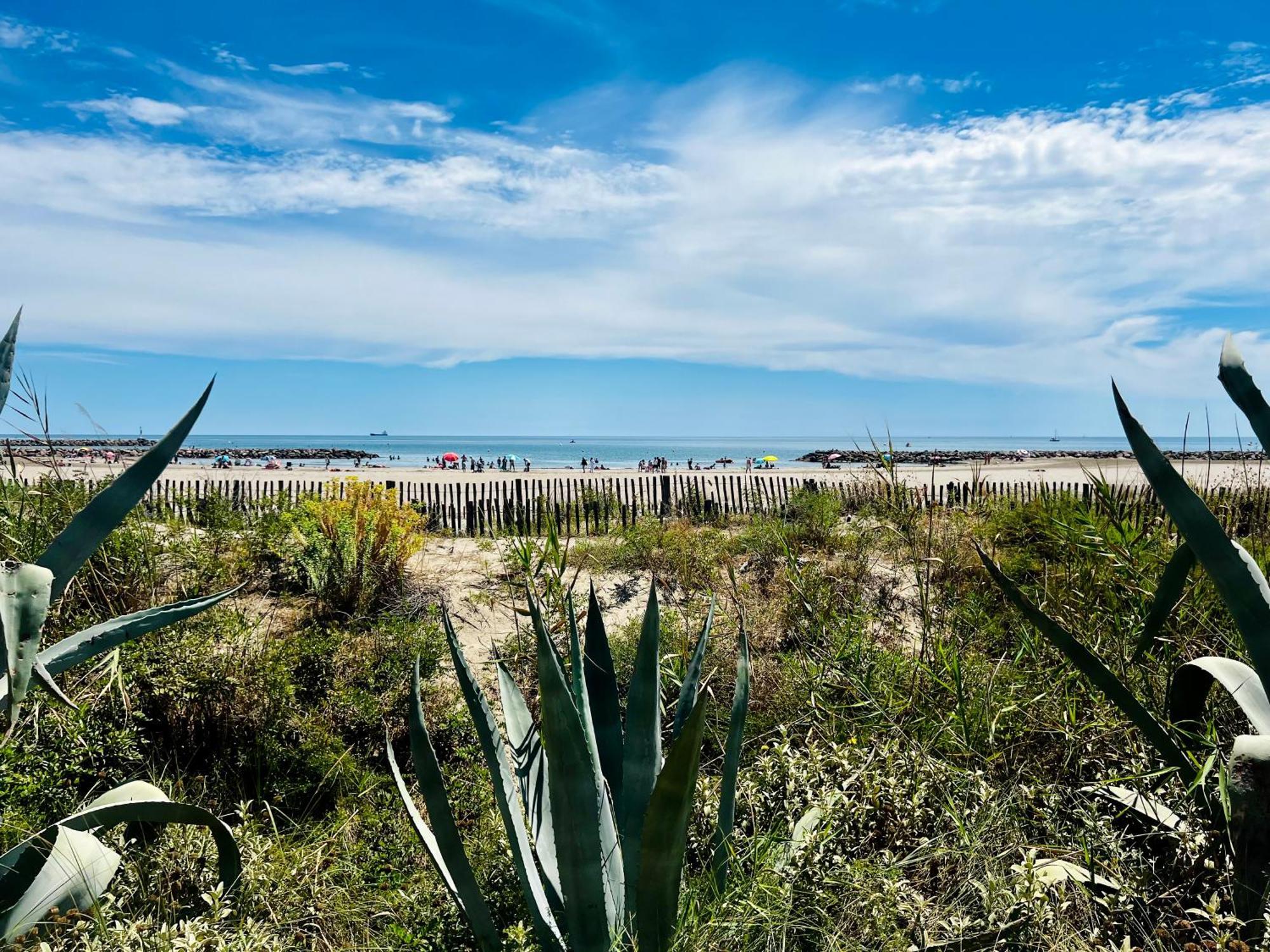 Appartement en bord de Mer Sète Eksteriør bilde